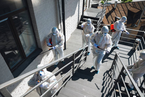 Best Mold Damage Restoration  in Craigsville, WV