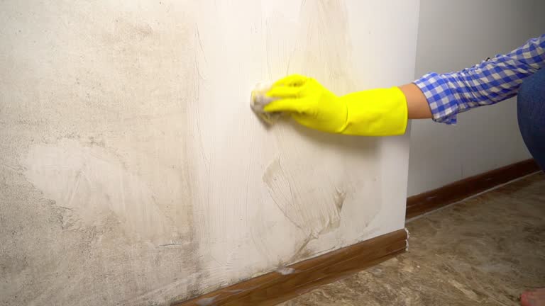 Best Residential Mold Inspection & Testing  in Craigsville, WV