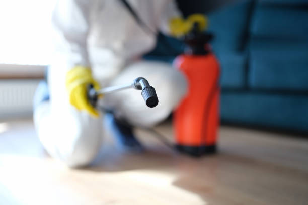 Best Post-Construction Mold Inspection  in Craigsville, WV