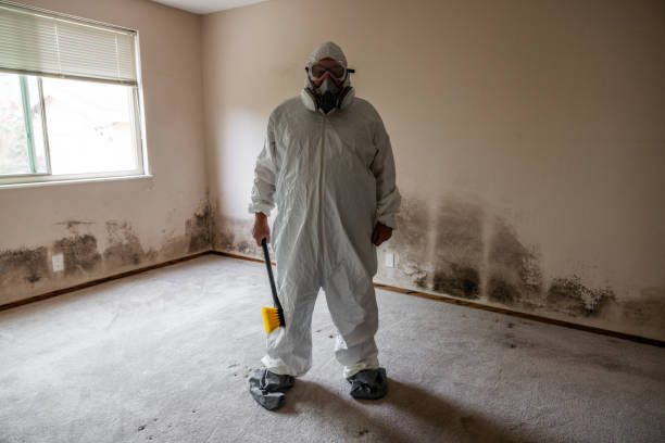 Mold Remediation for Vacation Homes in Craigsville, WV
